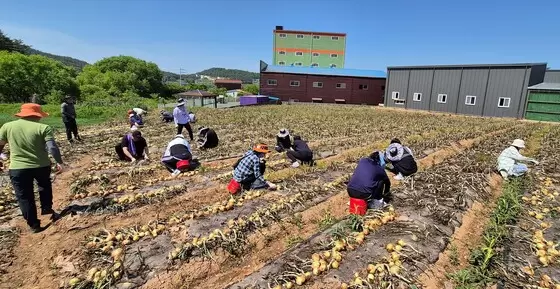 메인사진