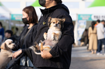 메인사진